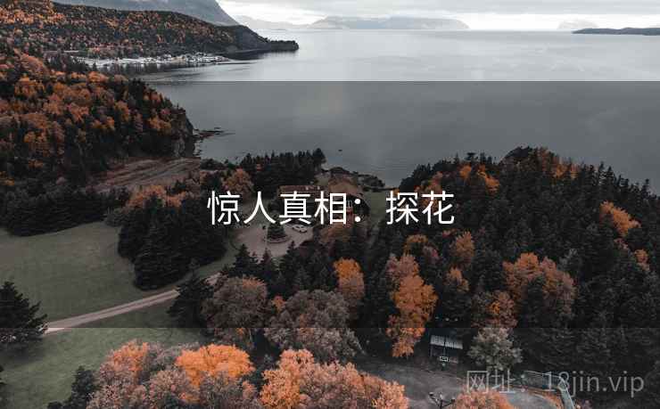 惊人真相：探花