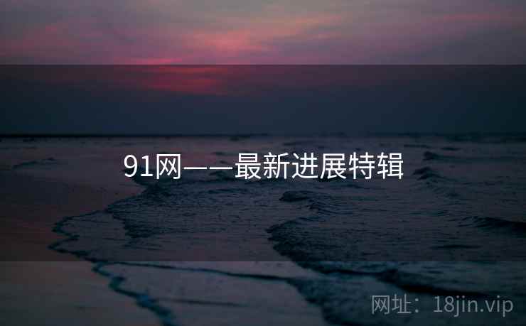 91网——最新进展特辑