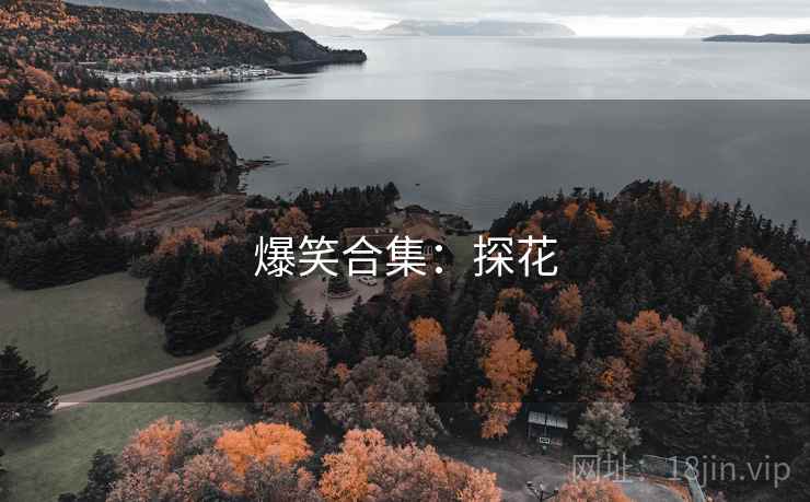 爆笑合集：探花