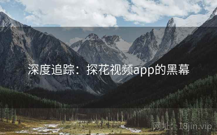 深度追踪：探花视频app的黑幕