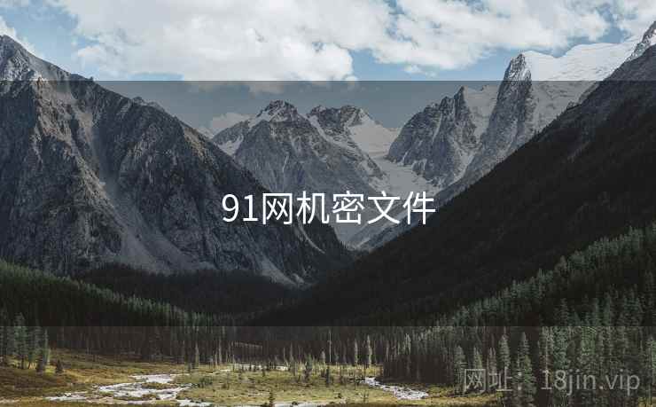 91网机密文件